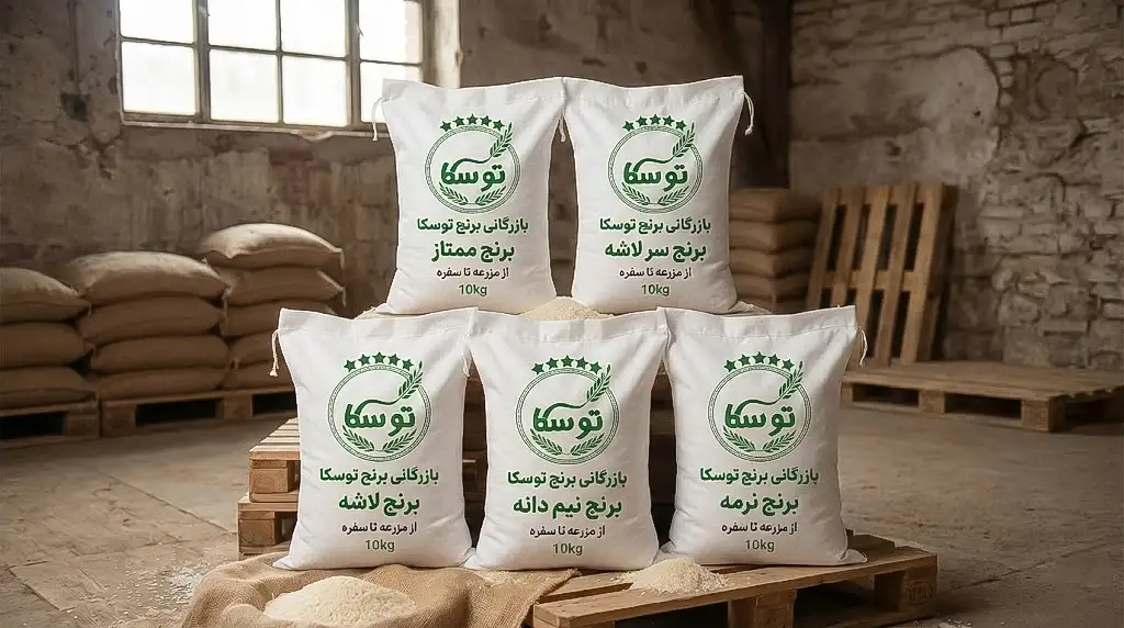 راهنمای خرید بهترین برنج برای شیر برنج؛ مقایسه کاربرد برنج نیم‌دانه مجلسی و برنج نرمه اقتصادی توسکا